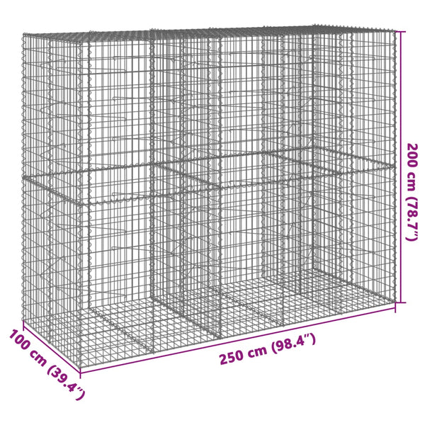 Gabione mit Deckel 250x100x200 cm