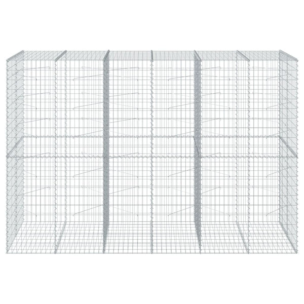Gabione mit Deckel 300x100x200 cm