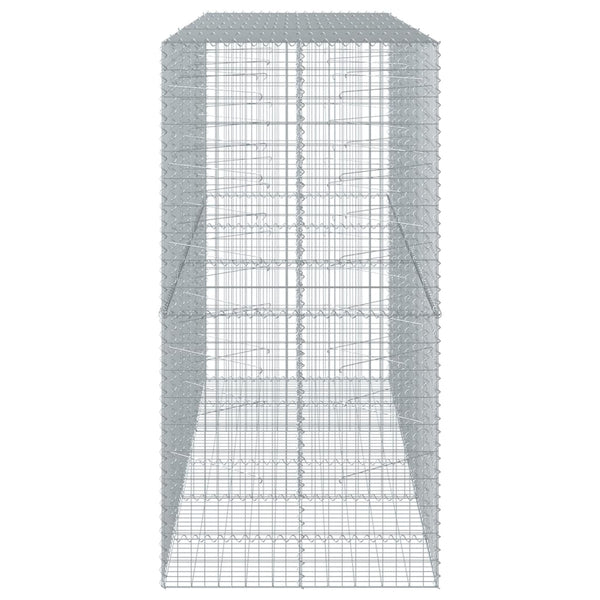 Gabione mit Deckel 300x100x200 cm
