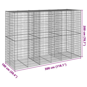 Gabione mit Deckel 300x100x200 cm