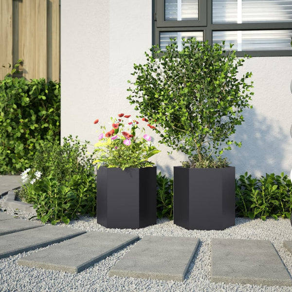Schwarze sechseckige Pflanzgefäße, 2er-Set