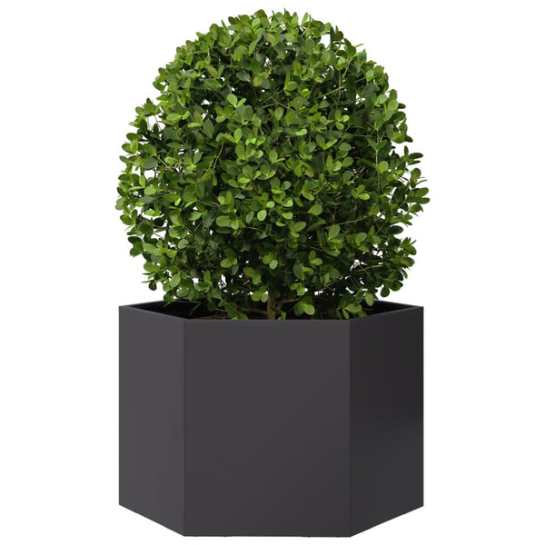 Schwarzer sechseckiger Pflanzkübel aus Stahl, 69 cm