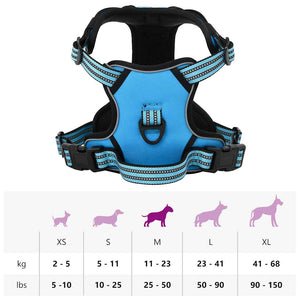 Reflektierendes Hundegeschirr Blau Größe M