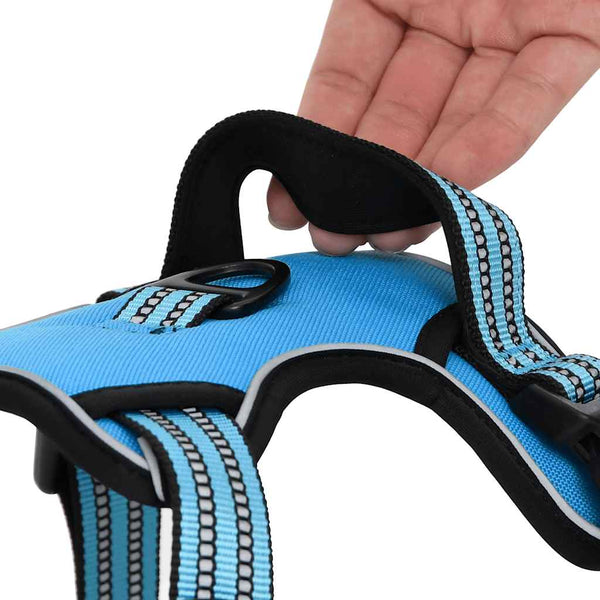 Reflektierendes Hundegeschirr Blau Größe L