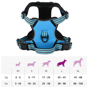 Reflektierendes Hundegeschirr Blau Größe L