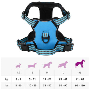 Reflektierendes, verstellbares Hundegeschirr Blau XL