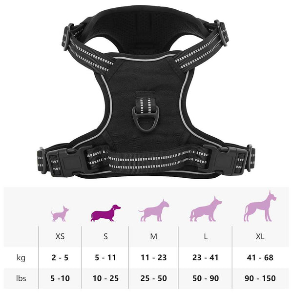 Hundegeschirr mit Leine & Halsband Schwarz S