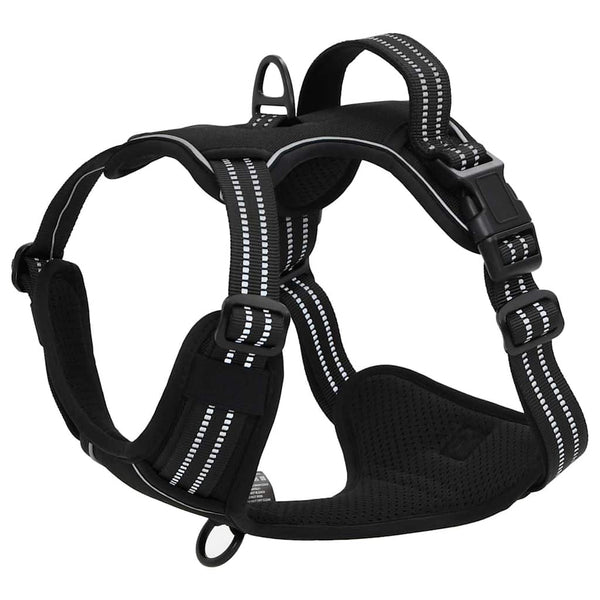 Hundegeschirr mit Leine & Halsband Schwarz S