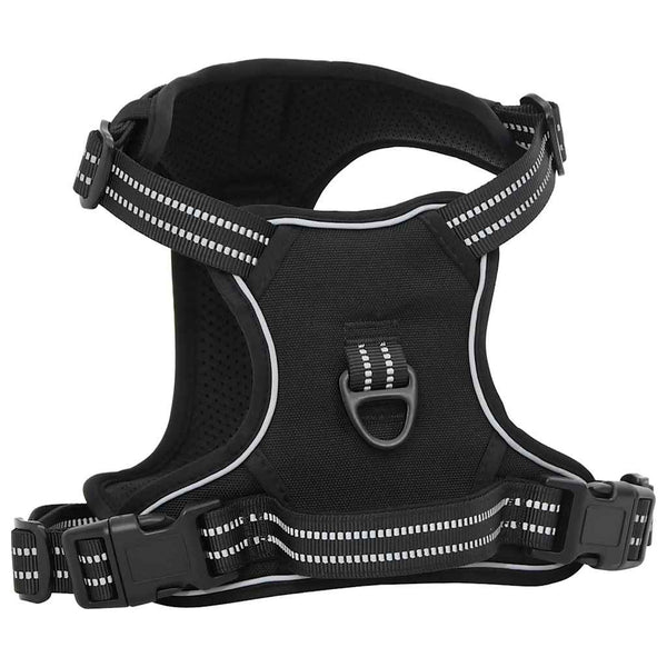 Hundegeschirr mit Leine Schwarz M