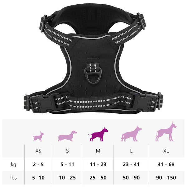 Hundegeschirr mit Leine Schwarz M