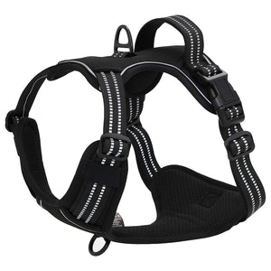 Hundegeschirr mit Leine Schwarz M