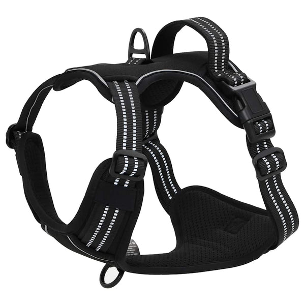 Hundegeschirr mit Leine Schwarz M