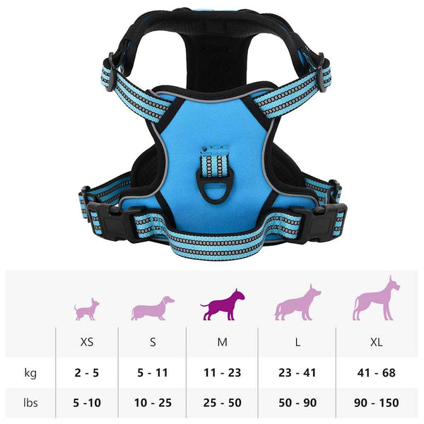Verstellbares Hundegeschirr mit Leine & Halsband Blau M