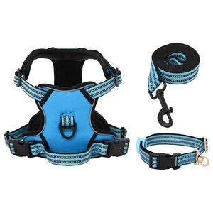 Verstellbares Hundegeschirr mit Leine & Halsband Blau M