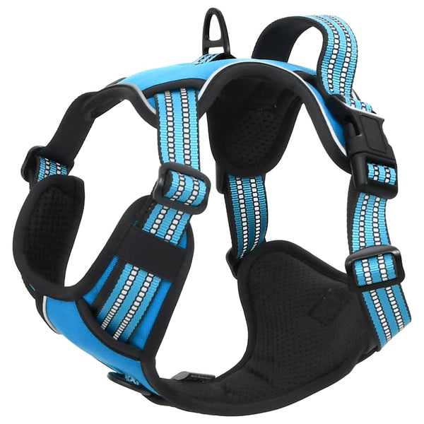 Verstellbares Hundegeschirr mit Leine & Halsband Blau M