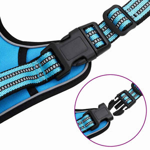 Verstellbares Hundegeschirr mit Leine & Halsband Blau M