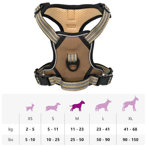 Verstellbares Hundegeschirr mit Leine Braun M