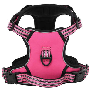 Hundegeschirr mit Leine & Halsband Rosa M