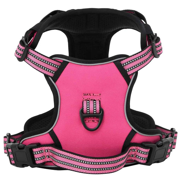 Hundegeschirr mit Leine & Halsband Rosa M