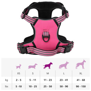 Hundegeschirr mit Leine & Halsband Rosa M