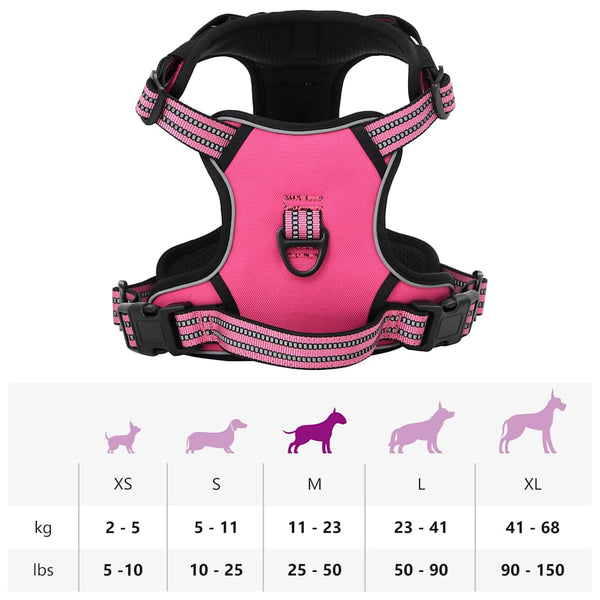Hundegeschirr mit Leine & Halsband Rosa M