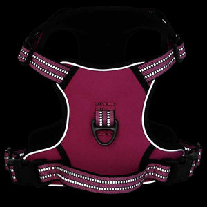 Hundegeschirr mit Leine & Halsband Rosa M