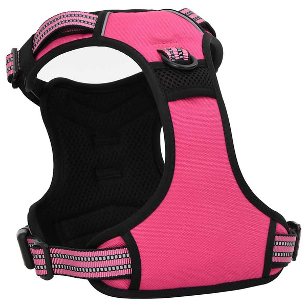 Hundegeschirr mit Leine & Halsband Rosa M