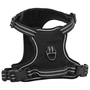 Hundegeschirr mit Leine Schwarz L