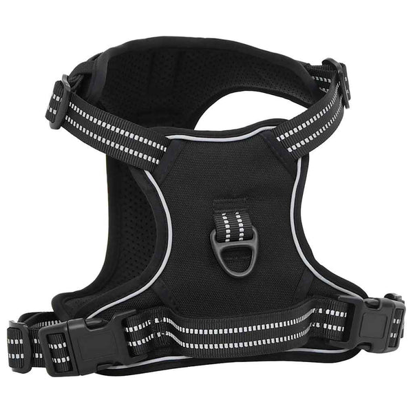Hundegeschirr mit Leine Schwarz L