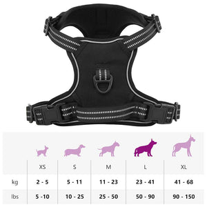 Hundegeschirr mit Leine Schwarz L
