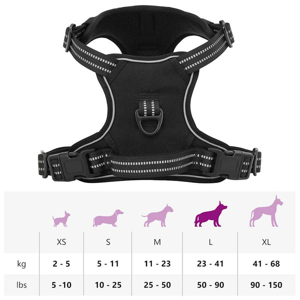 Hundegeschirr mit Leine Schwarz L