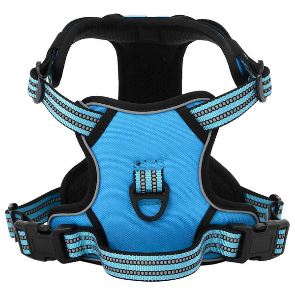 Verstellbares Hundegeschirr mit Leine & Halsband, Blau, L