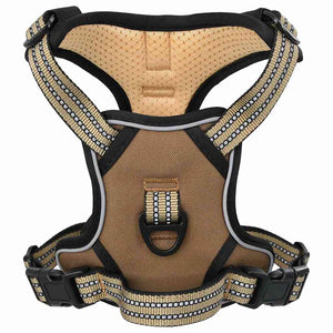 Verstellbares Hundegeschirr mit Leine Braun L