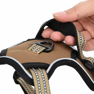 Verstellbares Hundegeschirr mit Leine Braun L