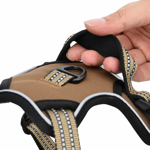 Verstellbares Hundegeschirr mit Leine Braun L