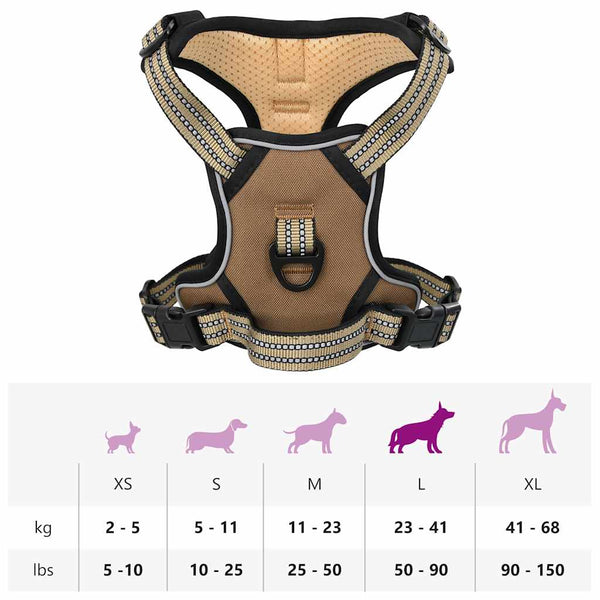 Verstellbares Hundegeschirr mit Leine Braun L