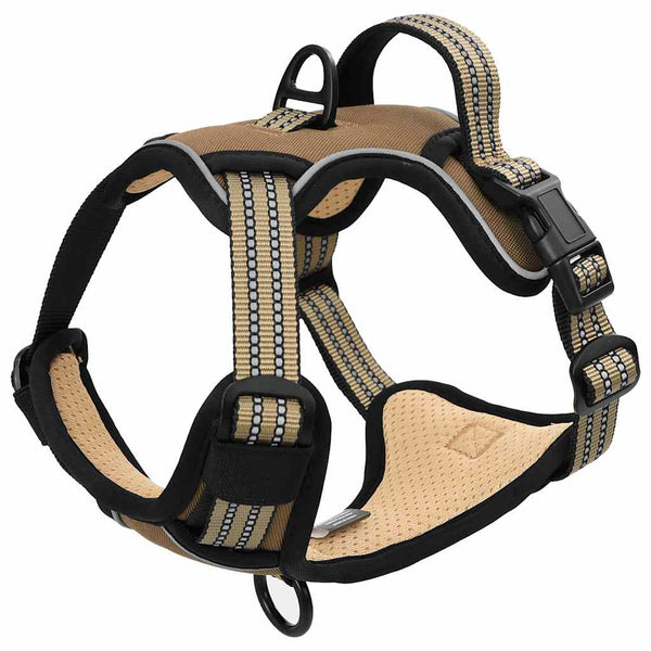 Verstellbares Hundegeschirr mit Leine Braun L
