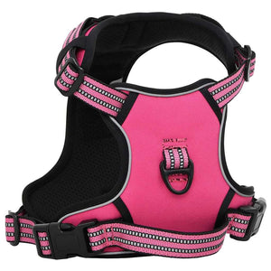 Hundegeschirr mit Leine & Halsband Rosa L