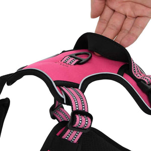 Hundegeschirr mit Leine & Halsband Rosa L
