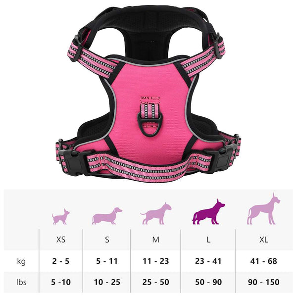 Hundegeschirr mit Leine & Halsband Rosa L