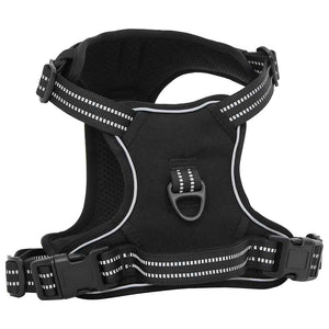 Hundegeschirr mit Leine & Halsband Schwarz XL