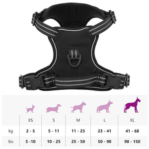 Hundegeschirr mit Leine & Halsband Schwarz XL