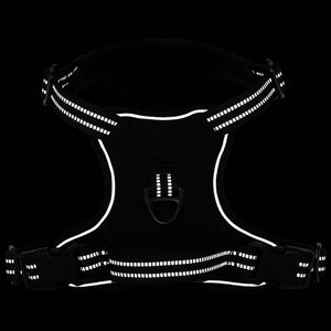 Hundegeschirr mit Leine & Halsband Schwarz XL