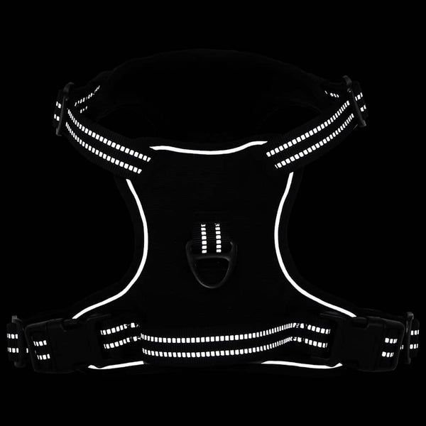 Hundegeschirr mit Leine & Halsband Schwarz XL