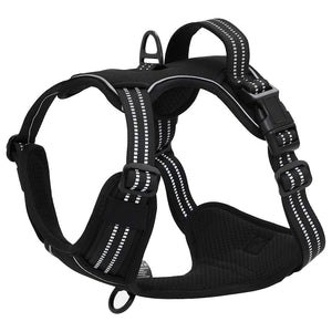 Hundegeschirr mit Leine & Halsband Schwarz XL