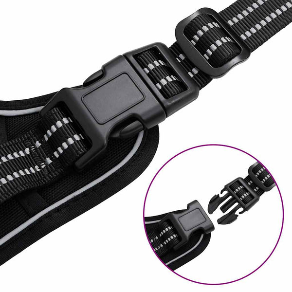 Hundegeschirr mit Leine & Halsband Schwarz XL