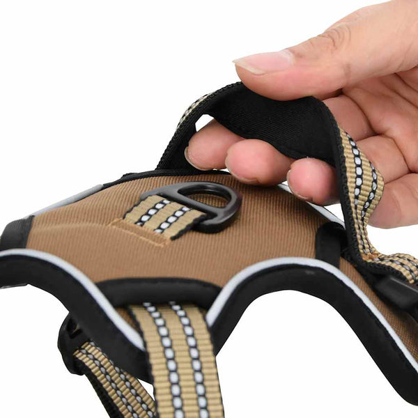 Verstellbares Hundegeschirr mit Leine Braun XL