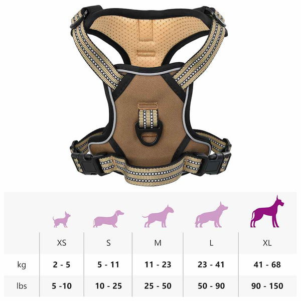 Verstellbares Hundegeschirr mit Leine Braun XL