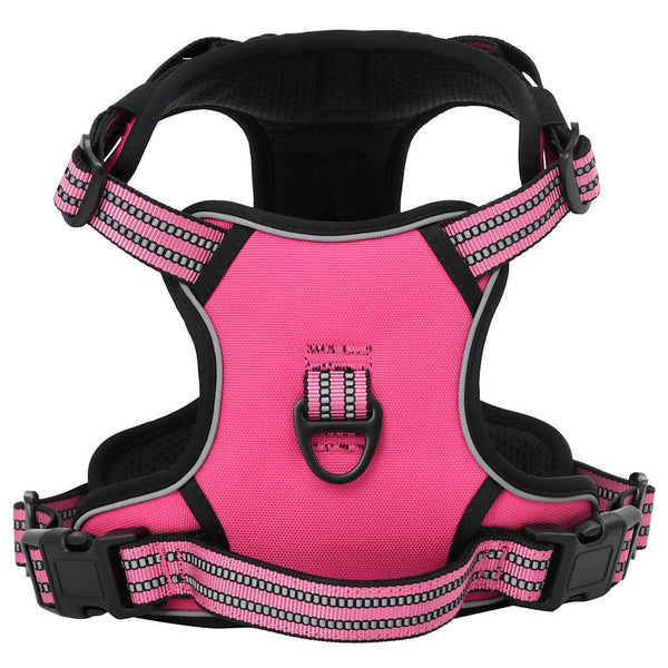 Hundegeschirr mit Leine & Halsband Rosa XL