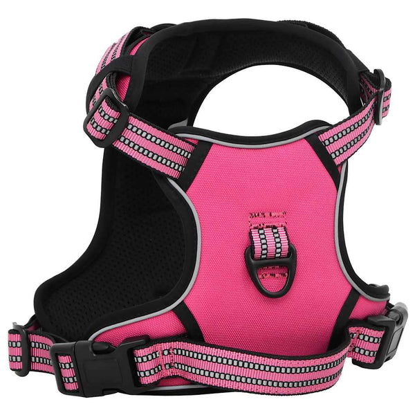 Hundegeschirr mit Leine & Halsband Rosa XL